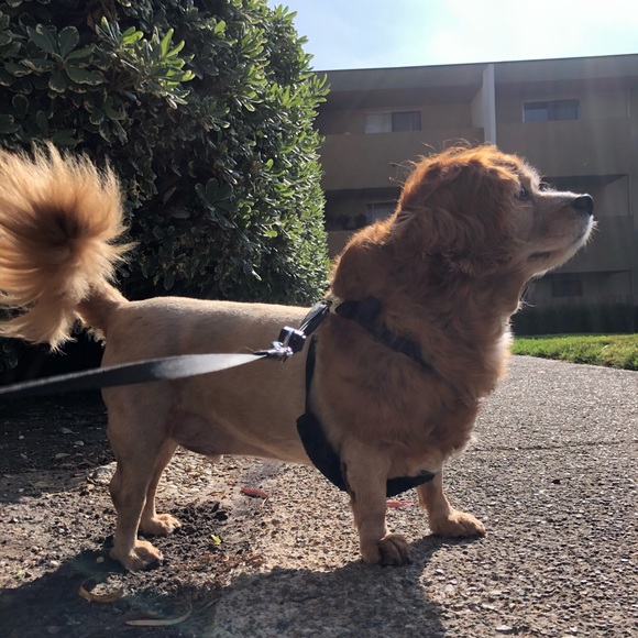 Assistant - Picture 1 of 1